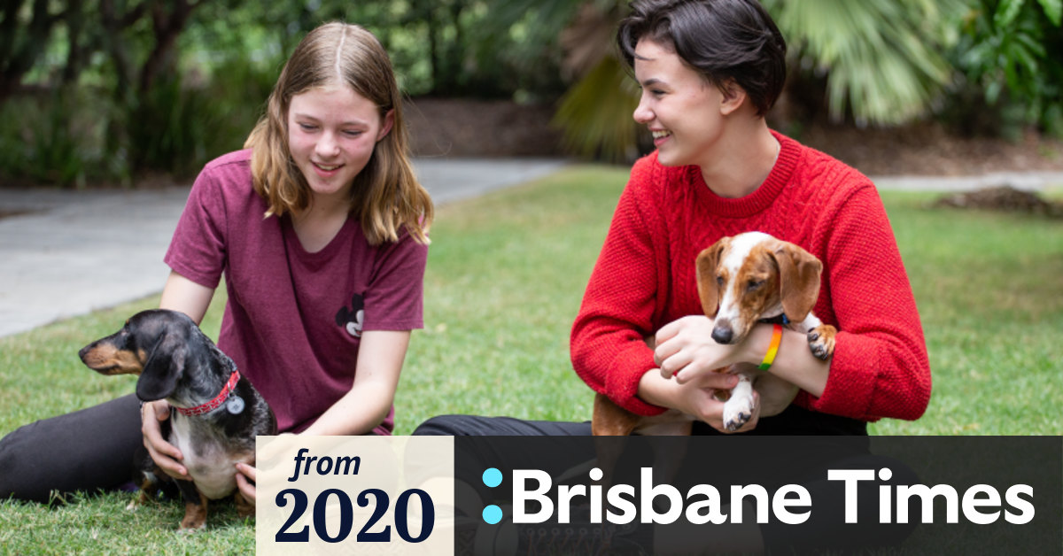 'No more' In five days, 3000 Queenslanders apply to be RSPCA foster carers